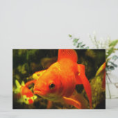 金魚 便箋 (スタンド正面)