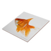 金魚、側面図 タイル (側面)