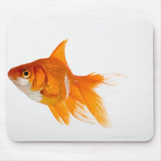 金魚、側面 マウスパッド (正面)