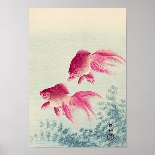 金魚, 古邨 Pair of Goldfish, Koson, Ukiyo-e, Woodcut ポスター (正面)