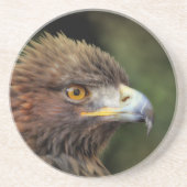 金鷲 コースター (正面)