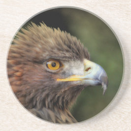 金鷲 コースター