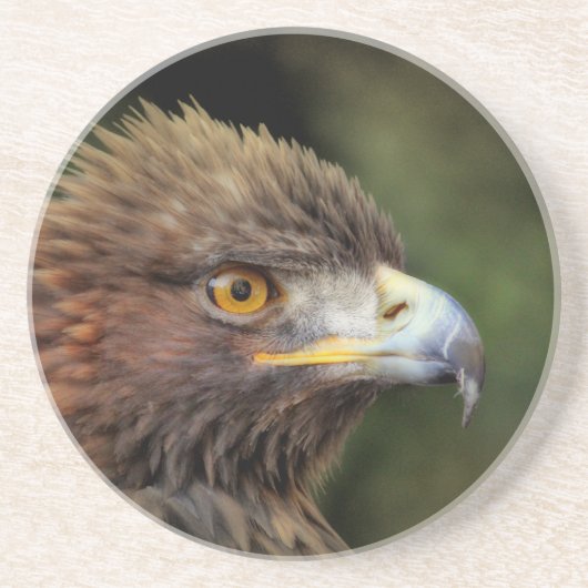 金鷲 コースター (正面)