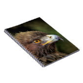 金鷲 ノートブック (右側)