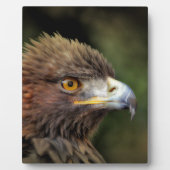 金鷲 フォトプラーク (正面)