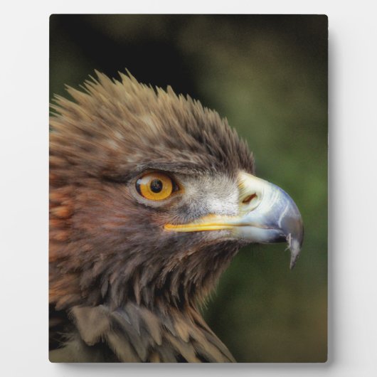 金鷲 フォトプラーク (正面)