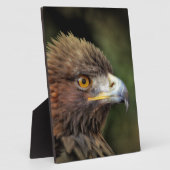 金鷲 フォトプラーク (側面)