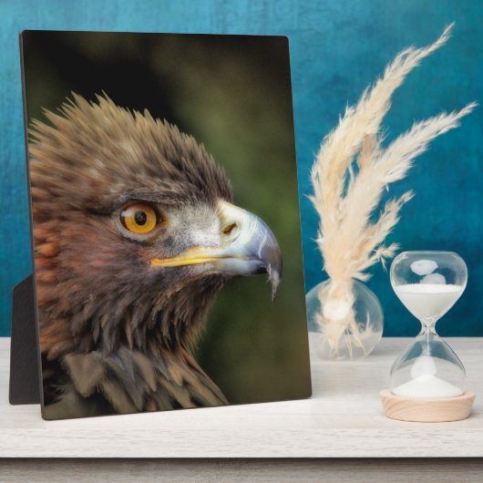 金鷲 フォトプラーク (側面)