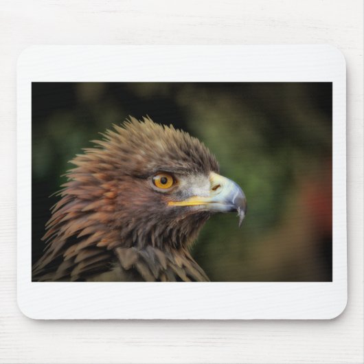 金鷲 マウスパッド (正面)