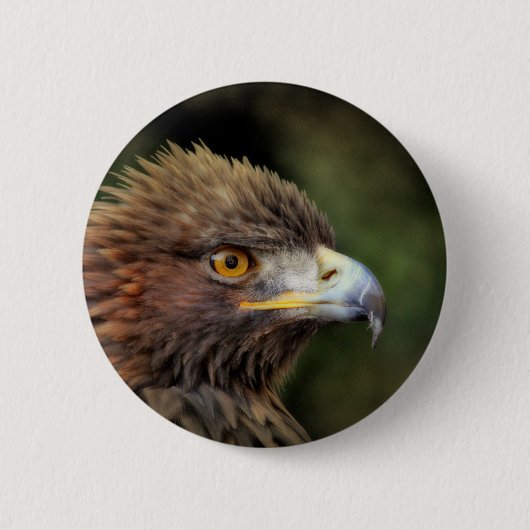 金鷲 缶バッジ (正面)