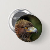 金鷲 缶バッジ (正面&裏面)