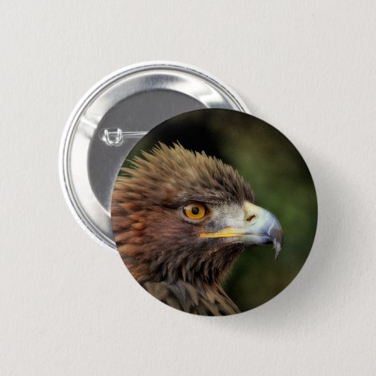 金鷲 缶バッジ (正面&裏面)