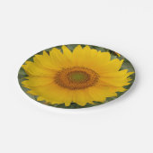 金黄色いヒマワリの紙皿 ペーパープレート (アングル)