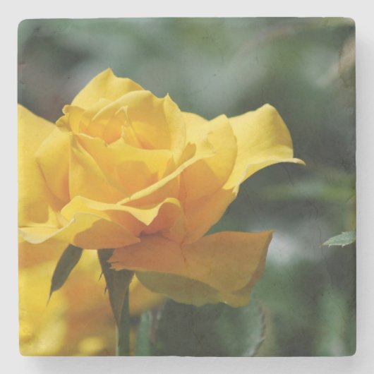 金黄色バラの芽 ストーンコースター (正面)