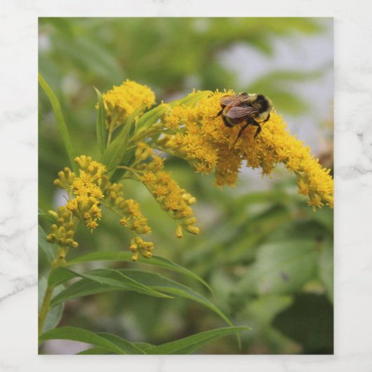 金 ワインラベル (シングルラベル)