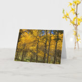 金《植物》アスペンの木の空白のなカード カード (黄色い花)