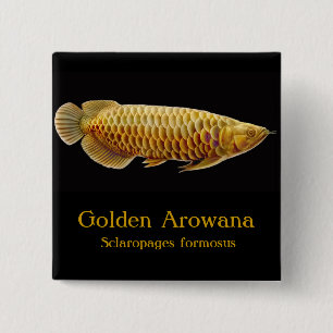 金Arowanaの魚Pin 缶バッジ