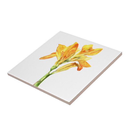 金Cannaの花の水彩画の絵画 タイル (側面)