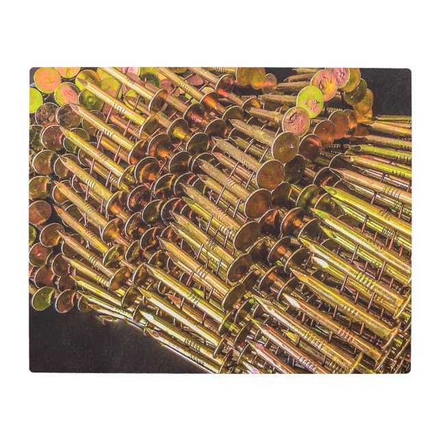 釘付けだ！メタルウォールアート メタルプリント (正面)