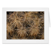 「針と干し草の山」 (正面横)