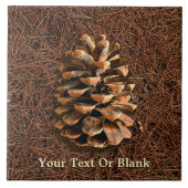 針盤の松落ちた錐 タイル (正面)