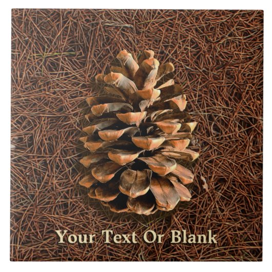 針盤の松落ちた錐 タイル (正面)