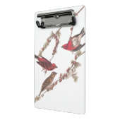 針葉樹のオードボンの紫のフィンチ赤い鳥 ミニクリップボード (アングル2)