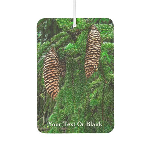 針葉樹のコーンと針 カーエアーフレッシュナー (正面)