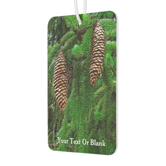 針葉樹のコーンと針 カーエアーフレッシュナー (左)