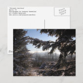 針葉樹を通して ポストカード (正面/裏面)