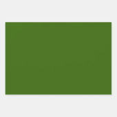 針葉樹グリーン ラッピングペーパーシート (正面3)