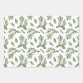 針葉樹、松の枝、円錐 ラッピングペーパーシート (正面2)