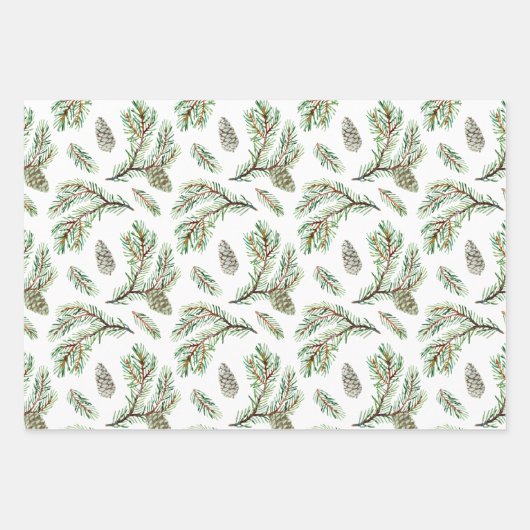 針葉樹、松の枝、円錐 ラッピングペーパーシート (正面)