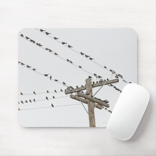 針金に止まった鳥 マウスパッド (マウス)
