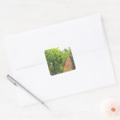 針金に這わせたつる性の植物をコンクリートの柱で支える スクエアシール (封筒)