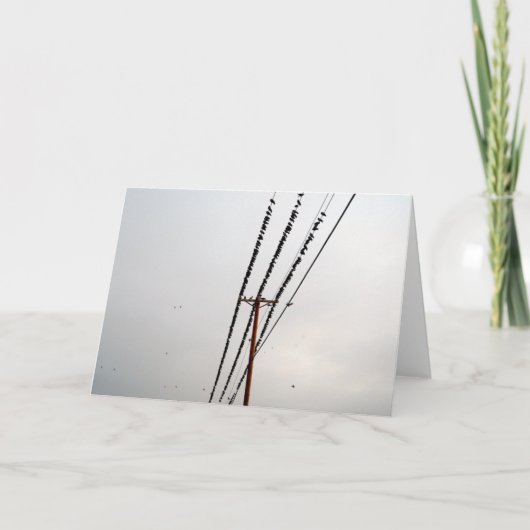 針金の上の鳥 シーズンカード (正面)