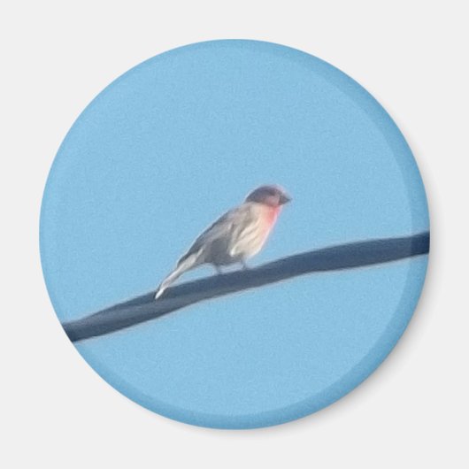 針金の上の鳥 マグネット (正面)