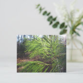 針 ポストカード (スタンド正面)