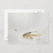 釣り人のフライを追いかけるマス ポストカード (正面/裏面)