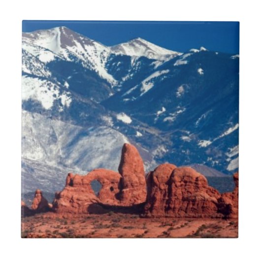 釣り合った石の道 タイル (正面)