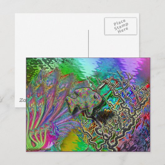 釣り用の ポストカード (正面/裏面)