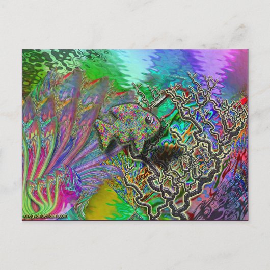 釣り用の ポストカード (正面)