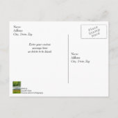 釣り船が移動中 サンキュー ポストカード (裏面)