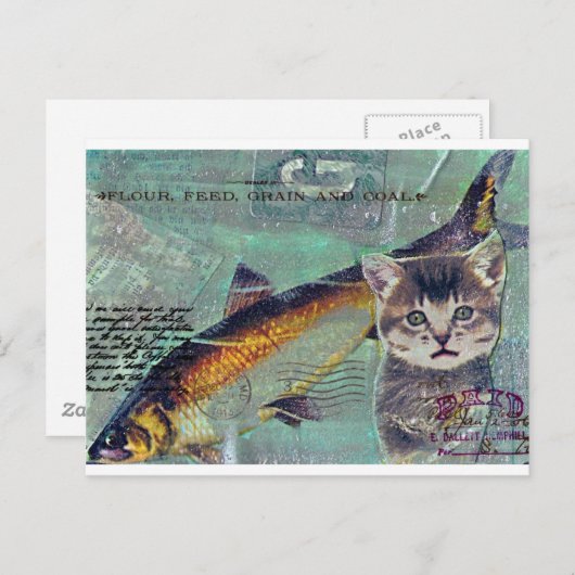 釣り ポストカード (正面/裏面)