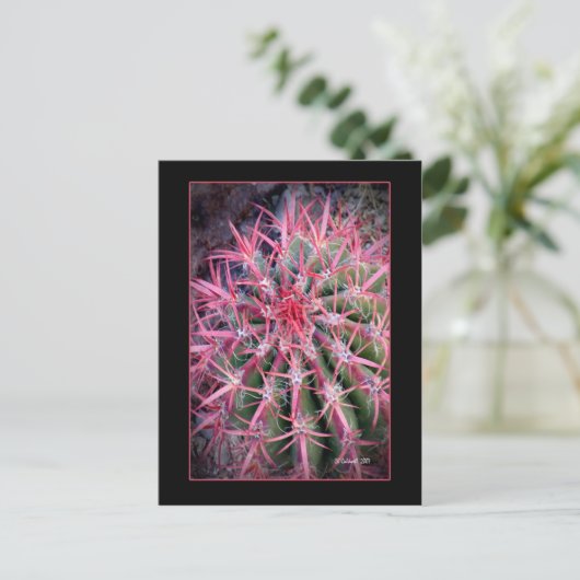 釣針 ポストカード (スタンド正面)