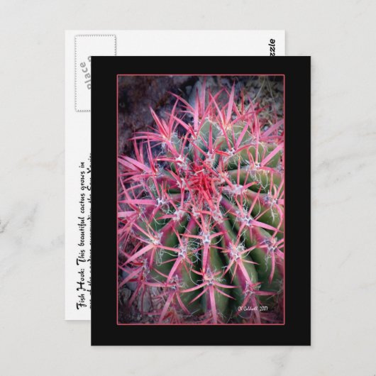 釣針 ポストカード (正面/裏面)