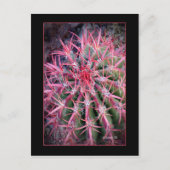 釣針 ポストカード (正面)