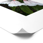 釣鐘型のシャクナゲの花の写真 ポスター (角)