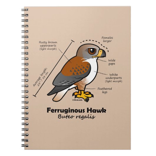 鉄のタカの統計量 ノートブック (正面)