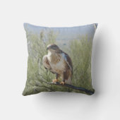 鉄のタカ クッション (裏面)